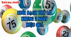 Nuôi bạch thủ lô khung 2 ngày bất bại