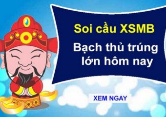 xstd soi cau 2 Nhập hội chuyên xstd soi cầu mong ngày phát tài